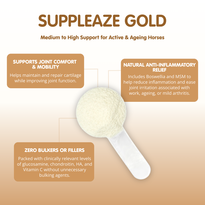 Suppleaze Gold | Horse Joint Supplement