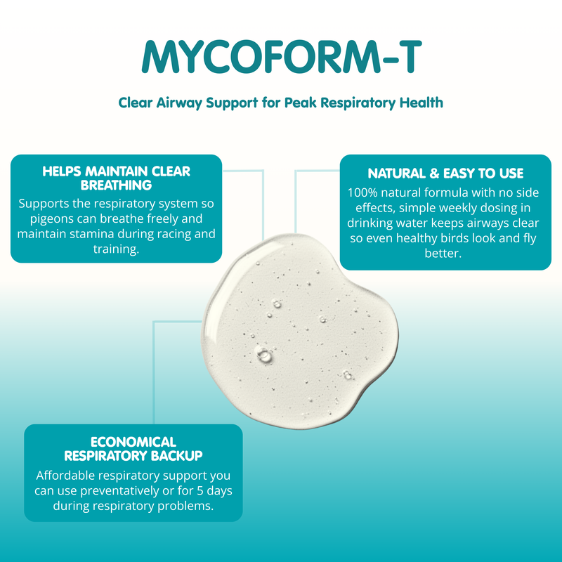 MYCOFORM-T Racing Pigeon Respiratory