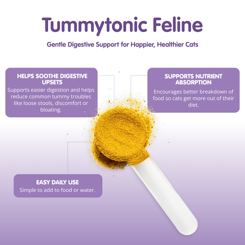 TUMMYTONIC Feline Digestive Supplement for Cats