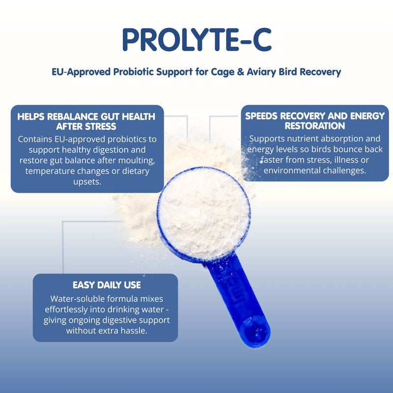 PROLYTE C Probiotic Cage &amp; Aviary Bird Recovery Supplement