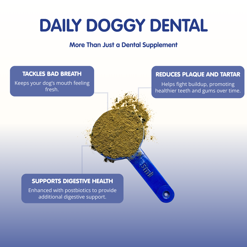 Daily Doggy Dental | Canine Oral Care