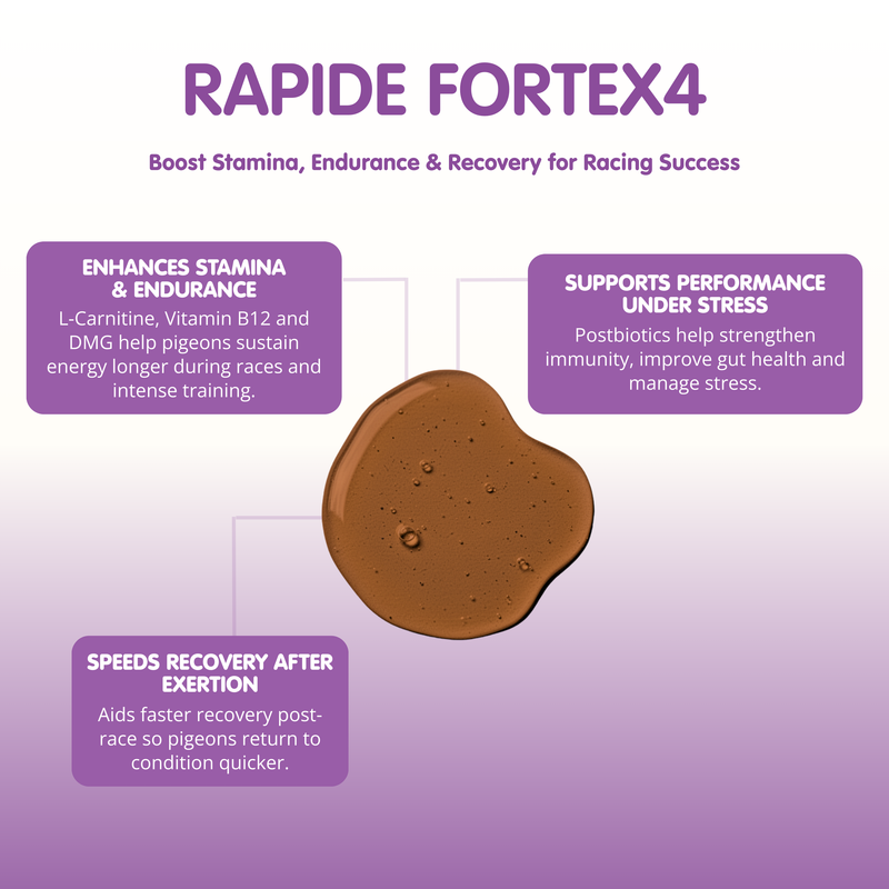 Racing Pigeon Endurance Supplement RAPIDE ForteX4 | Aviform Racing Pigeon Endurance Supplement RAPIDE ForteX4 | Aviform