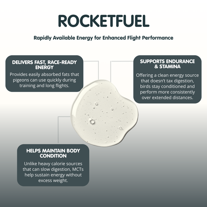 ROCKETFUEL MCT Energy Oil for Racing Pigeons