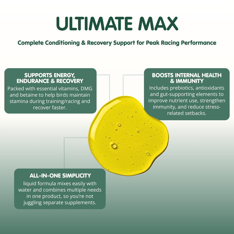 AVIFORM ULTIMATE MAX Complete Supplement for Racing Pigeons