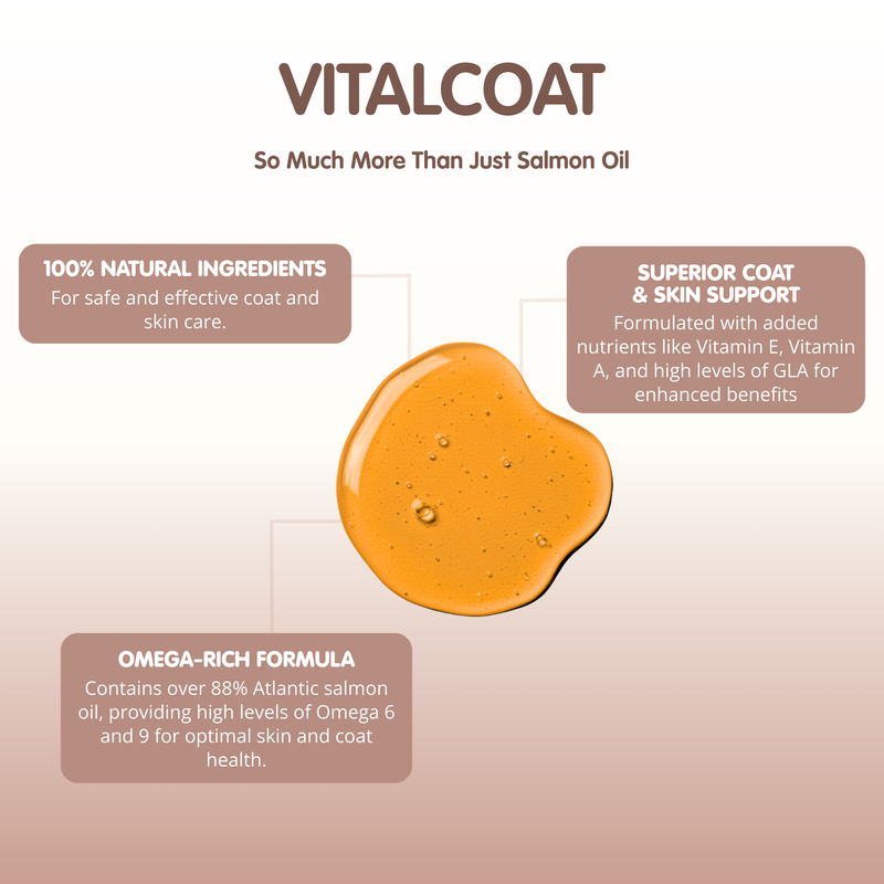 Vitalcoat | Dog Coat and Skin Conditioner
