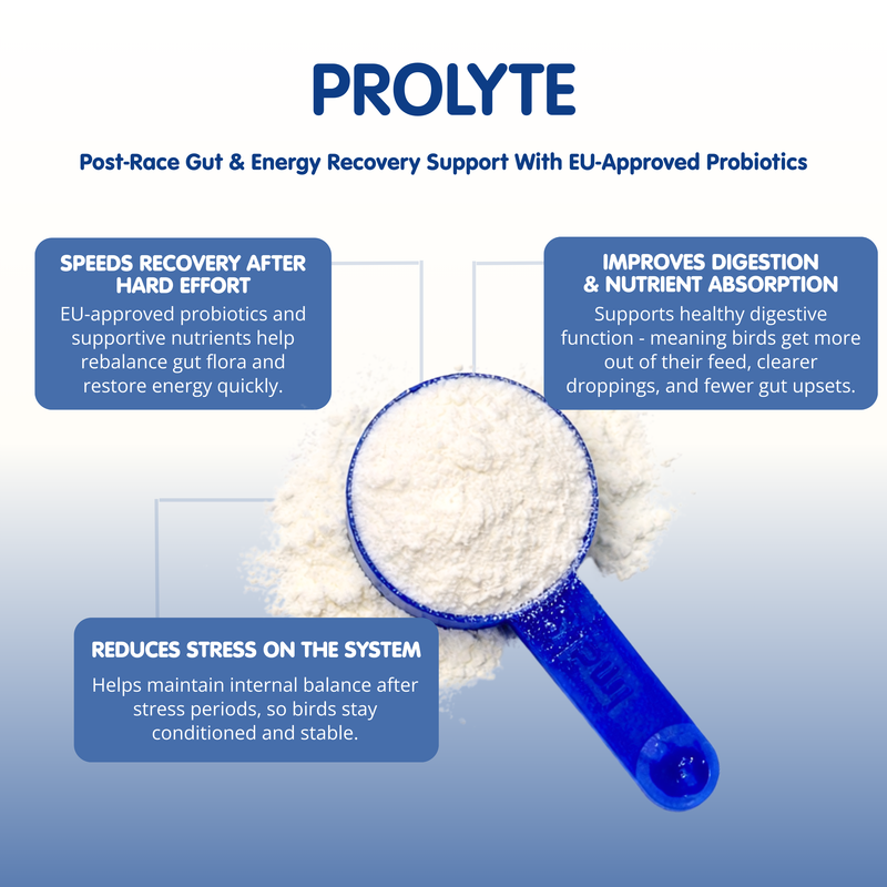 PROLYTE Probiotic Post Race Restorative Supplement for Racing Pigeons