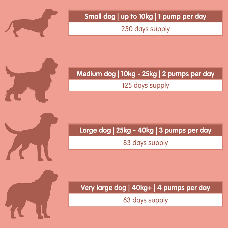 Salmon Oil Plus | Coat and Skin Supplement for Dogs