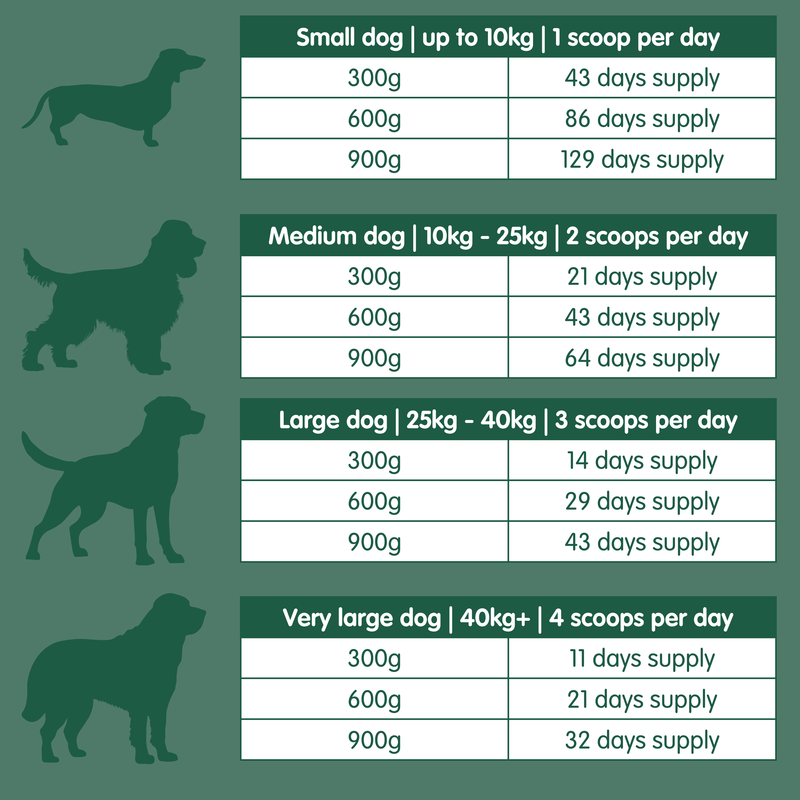 Weight Gain | Weight Gain Supplement for Dogs