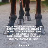 Biodura | Biotin Hoof Supplement for Horses