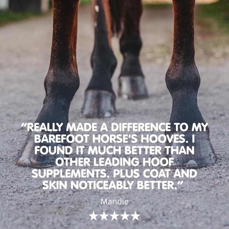 Biodura | Biotin Hoof Supplement for Horses