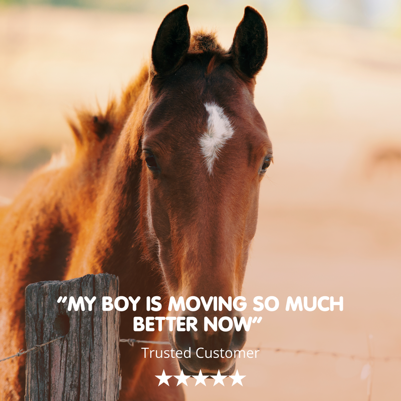 Glucosamine Hydrochloride | Equine Joint Supplement