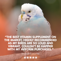 VITAFORM All in One Cage &amp; Aviary Bird Conditioner
