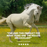 MSM | Pure Joint Care Supplement for Horses