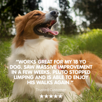 Mobileaze | Natural Mobility Aid Supplement for Dogs