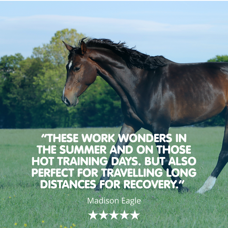 Electroform EQ | Equine Electrolytes