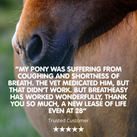 Breatheasy | Natural Respiratory Aid for Horses