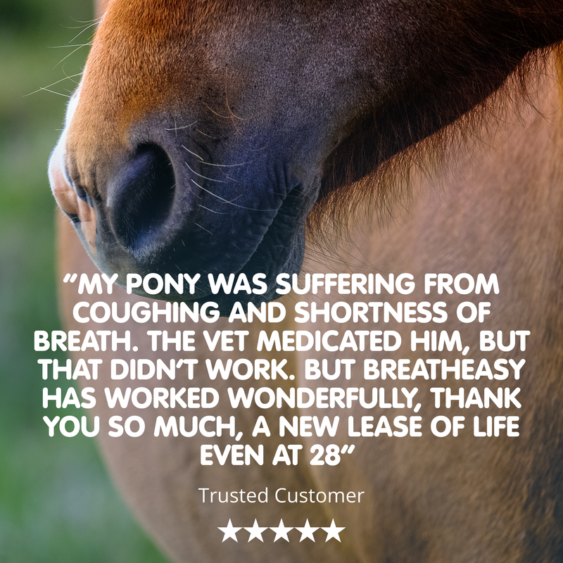 Breatheasy | Natural Respiratory Aid for Horses