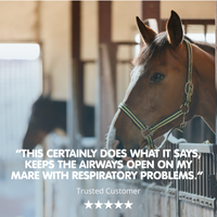 Breatheasy | Powder Respiratory Aid for Horses
