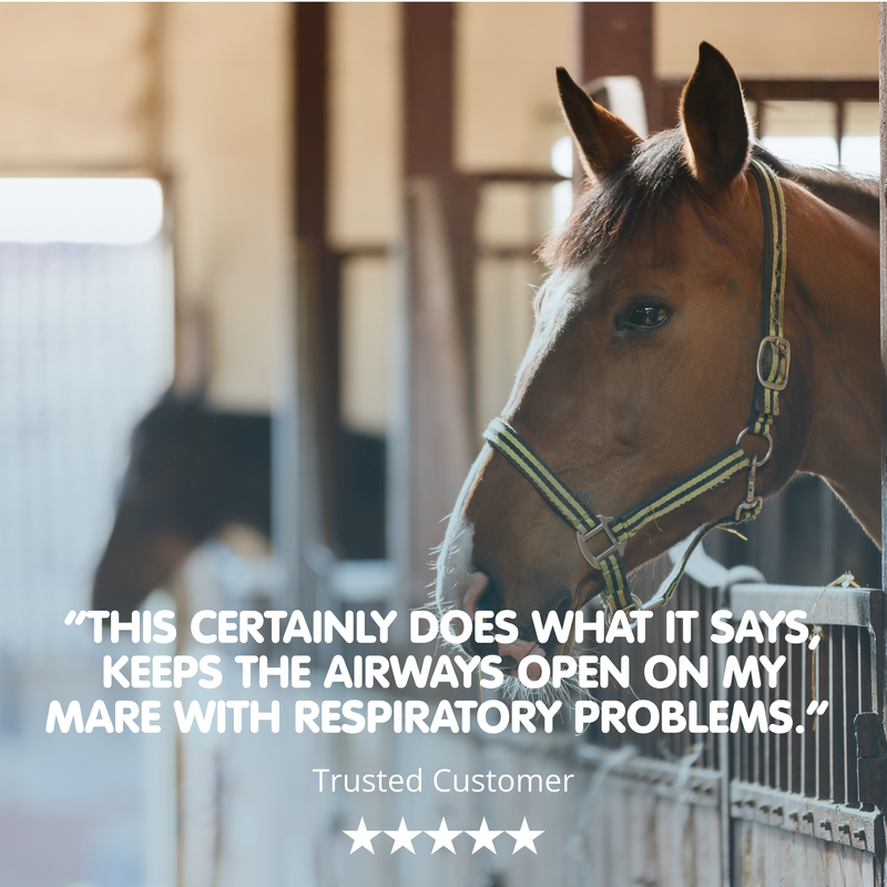 Breatheasy | Powder Respiratory Aid for Horses