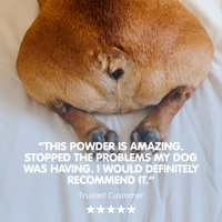 Wot The Scoot! | Scoot Reliever Supplement For Dogs