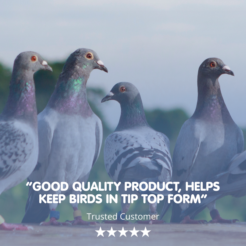 PROTEIN PERFORM Protein for Racing Pigeons