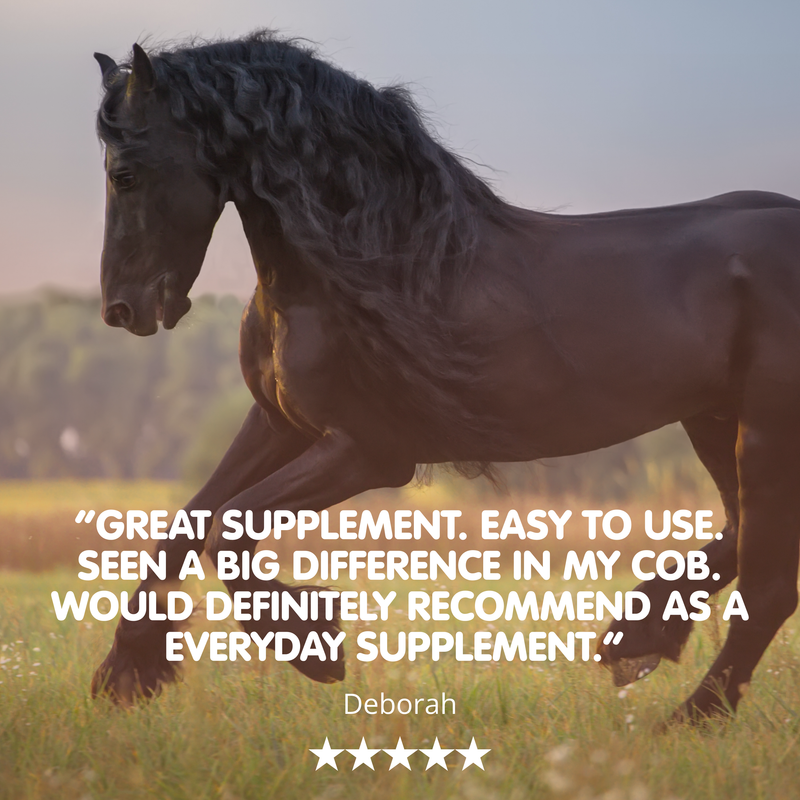 Suppleaze Ultraflex | Equine Joint Supplement