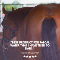 Pro-Choice FWS | Faecal Water Supplement For Horses