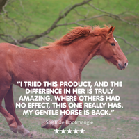 Mareish | Supplement For Hormonal Mares