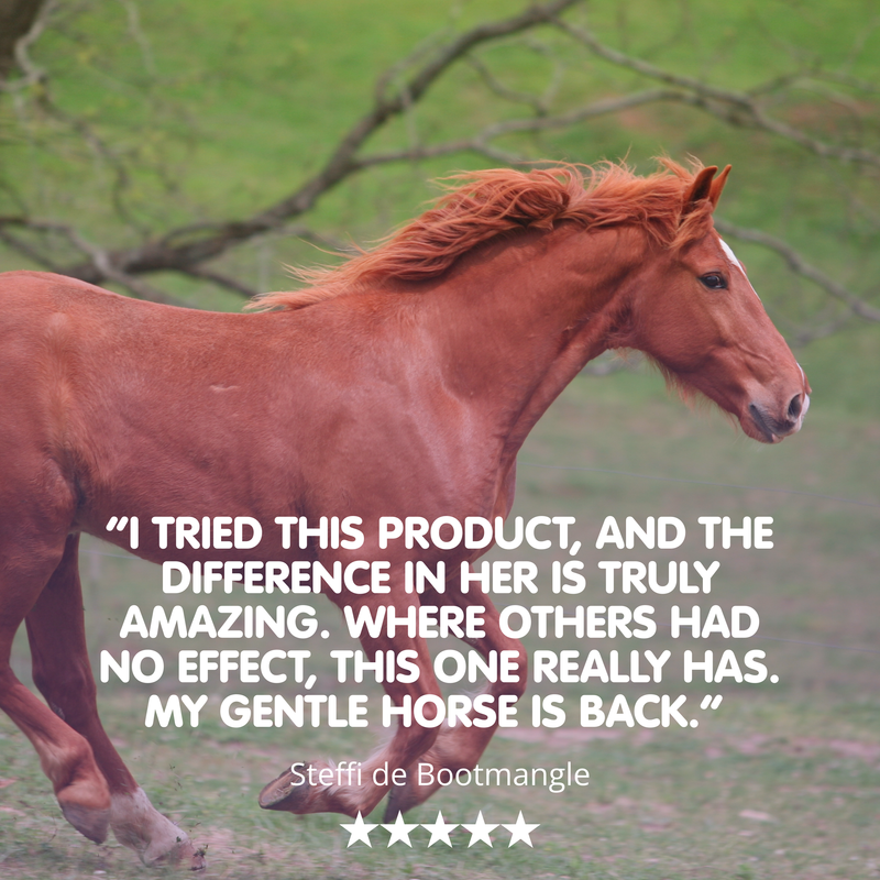 Mareish | Supplement For Hormonal Mares