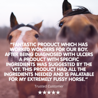 EGF | Equine Gastric Formula