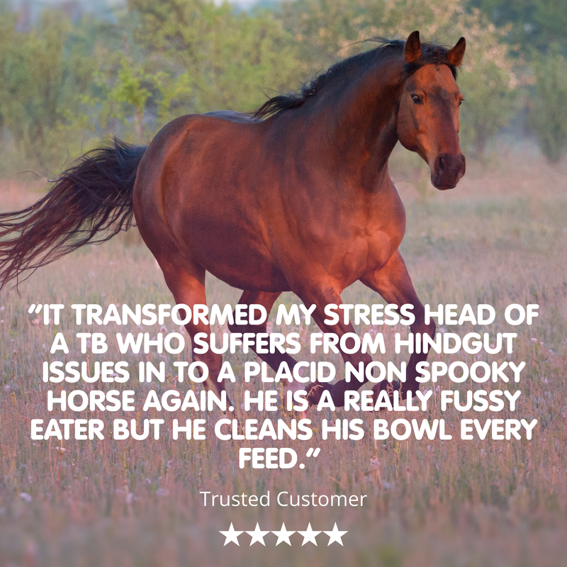 Equable | Powder Horse Calmer