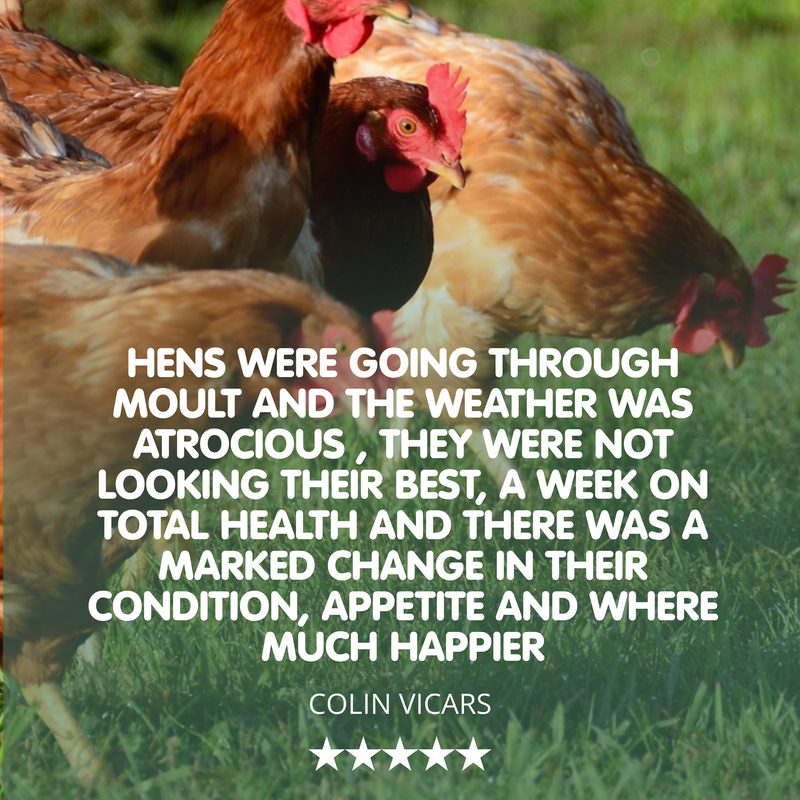 Total Health Stuff! All-in-One Chicken Tonic
