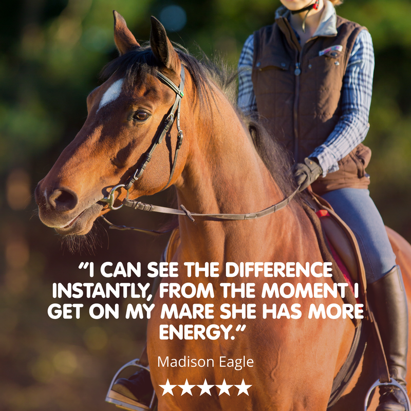 Enduraboost | Energy & Recovery Supplement for Horses