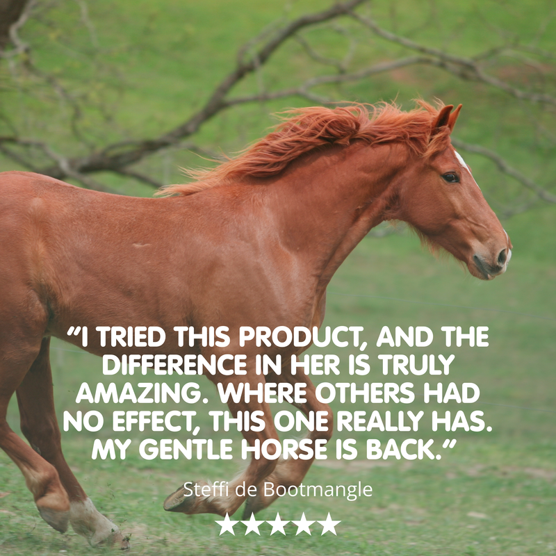 Build Up | Equine Muscle Builder