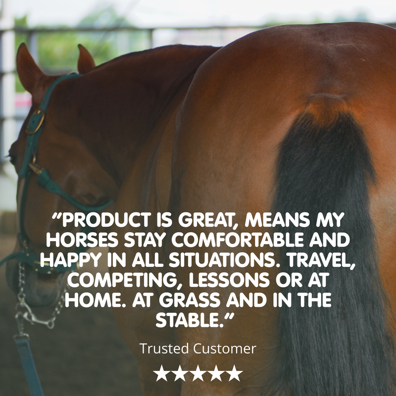 Pro-Choice Gold | Triple Synergy Equine Digestive &amp; Health Supplement