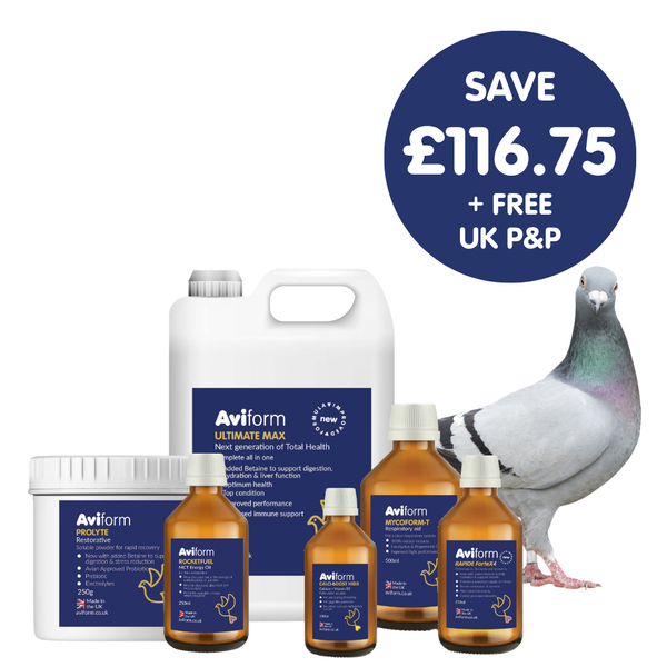 Power Pack | Multipack for Racing Pigeons