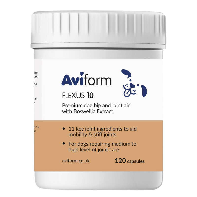 Flexus 10 | Premium Hip and Joint Supplement for Dogs