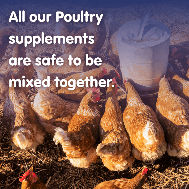 DIGESTIVE STUFF! Probiotic Chicken Recovery Supplement