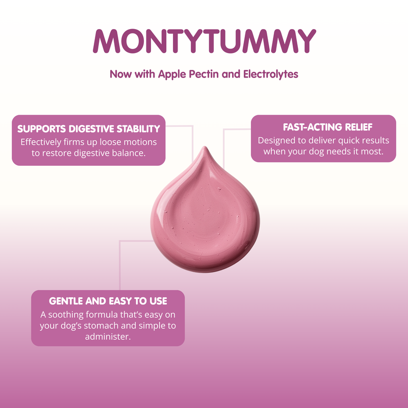 MontyTummy | Digestive Suspension Supplement for Dogs