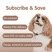 Doggy Shrooms Mushroom Blend Supplement for Dogs
