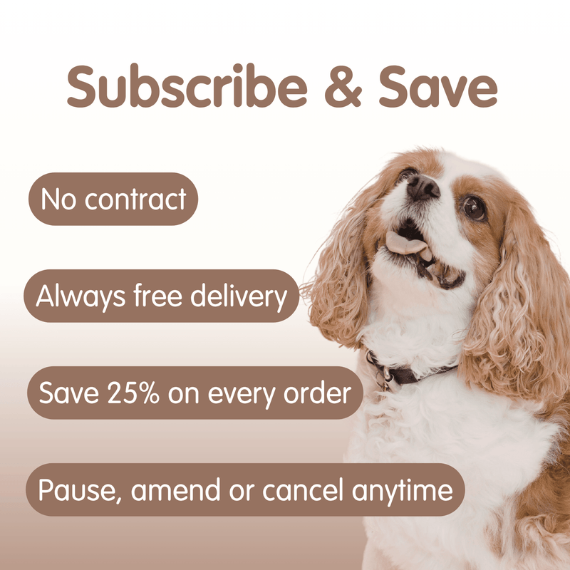 Doggy Shrooms Mushroom Blend Supplement for Dogs