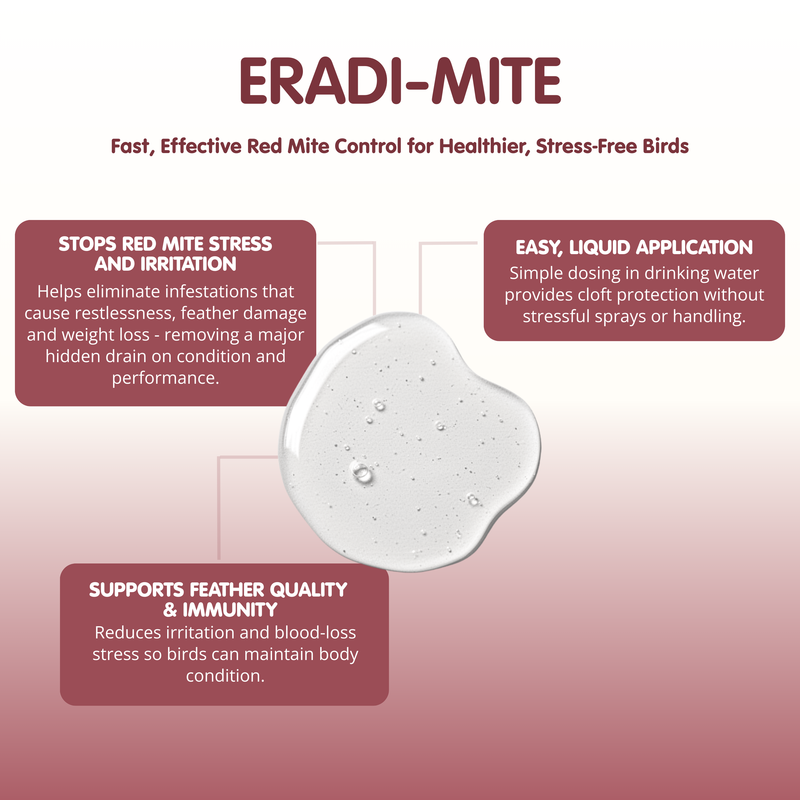 ERADI-MITE Red Mite Liquid for Racing Pigeons