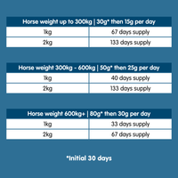 Breatheasy | Powder Respiratory Aid for Horses