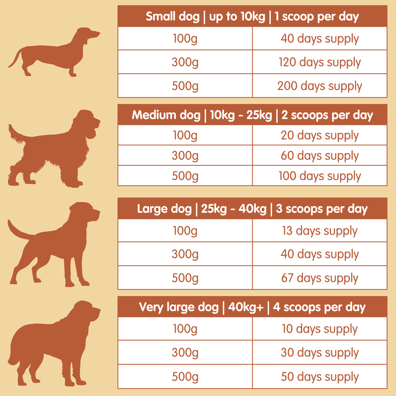 Beef Bone Broth | Powder Supplement for Dogs