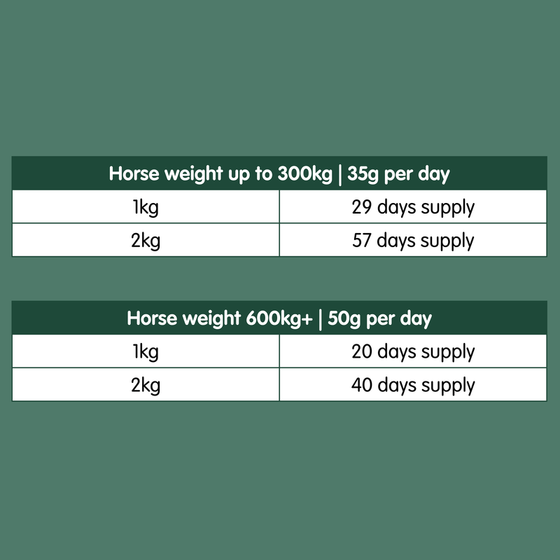 Pro-Choice Gold | Triple Synergy Equine Digestive &amp; Health Supplement