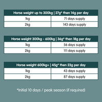 Build Up | Equine Muscle Builder