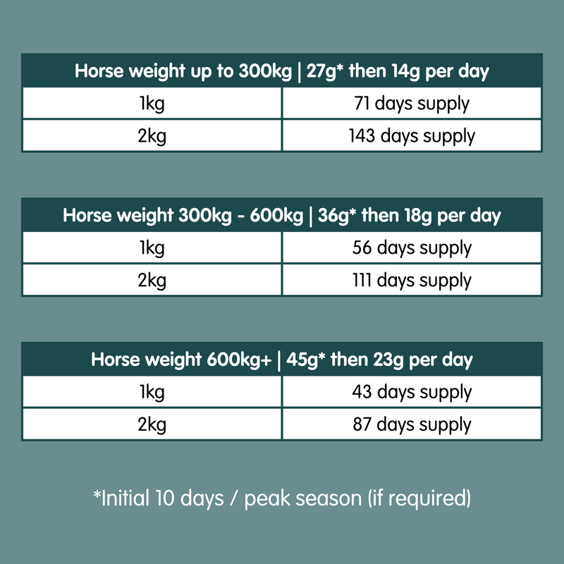 Build Up | Equine Muscle Builder