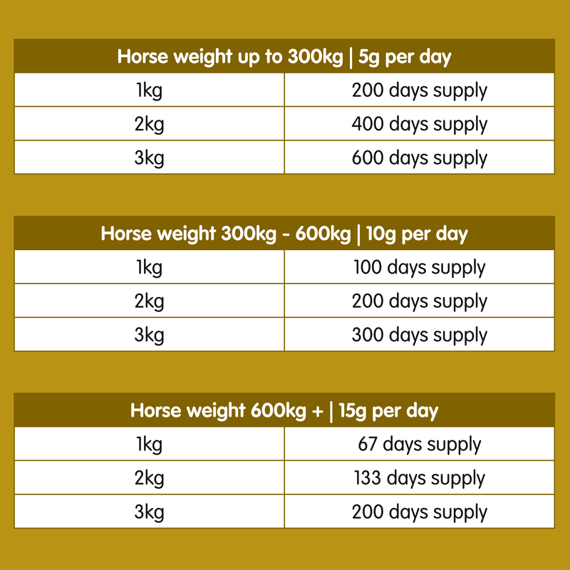 MSM | Pure Joint Care Supplement for Horses