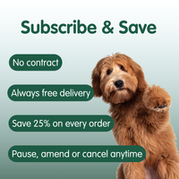 Weight Gain | Weight Gain Supplement for Dogs