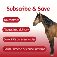 Suppleaze VS | Ultimate Equine Joint Supplement